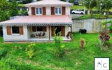Maison à vendre à Ducos — Vue montagne — photo 21