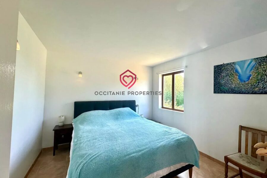 Maison à vendre à Tillac — Vue montagne — photo 20