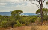 Maison à vendre à La Garde-Freinet — Vue montagne — photo 19