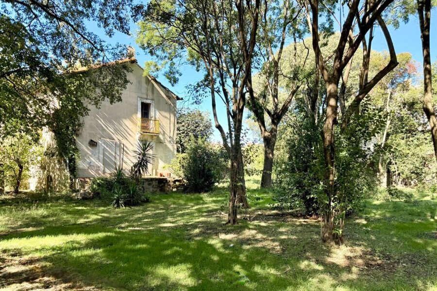 Maison à vendre à Montpellier — Vue parc & jardin — photo 2