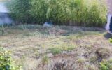 Terrain à vendre à Mèze — Vue dégagée — photo 3