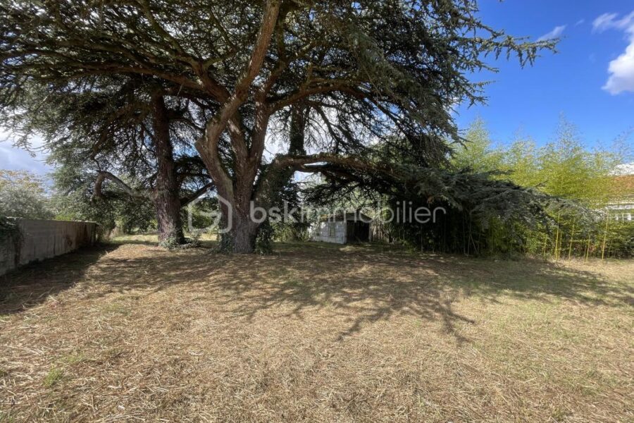 Terrain à vendre à Saint-Sulpice-la-Pointe — Vue dégagée — photo 4