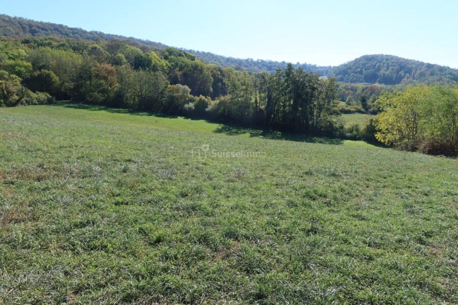 Terrain à vendre à Besançon — Vue nature — photo 1