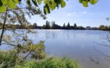 Appartement à vendre à Vannes — Vue lac — photo 1