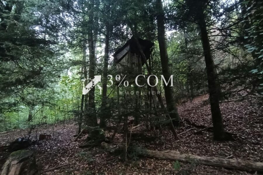 Terrain à vendre à Moyenmoutier — Vue nature — photo 4