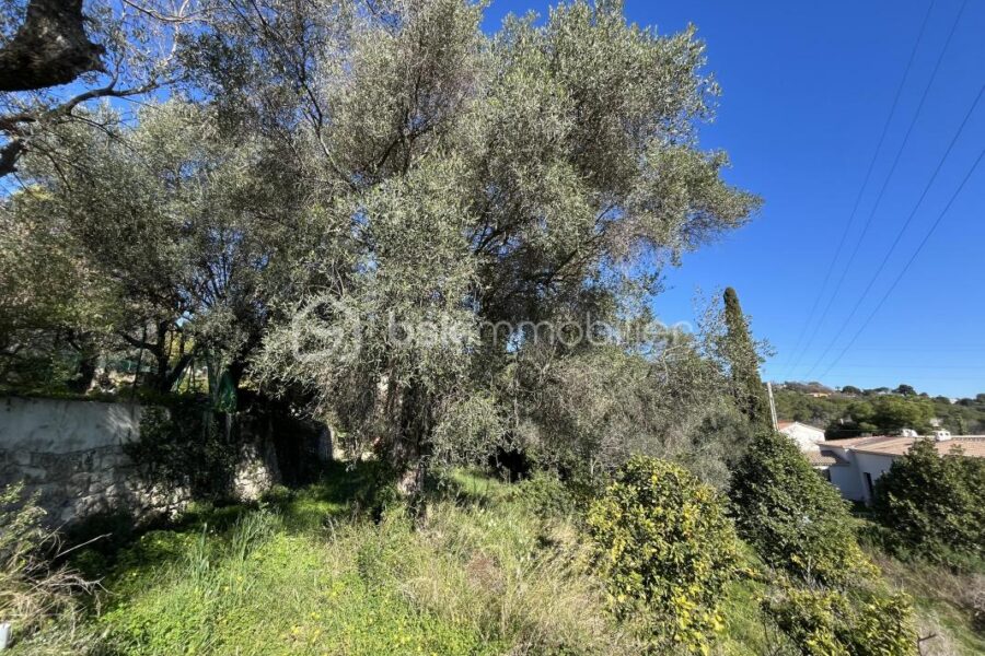 Terrain à vendre à Mougins — Vue nature — photo 3