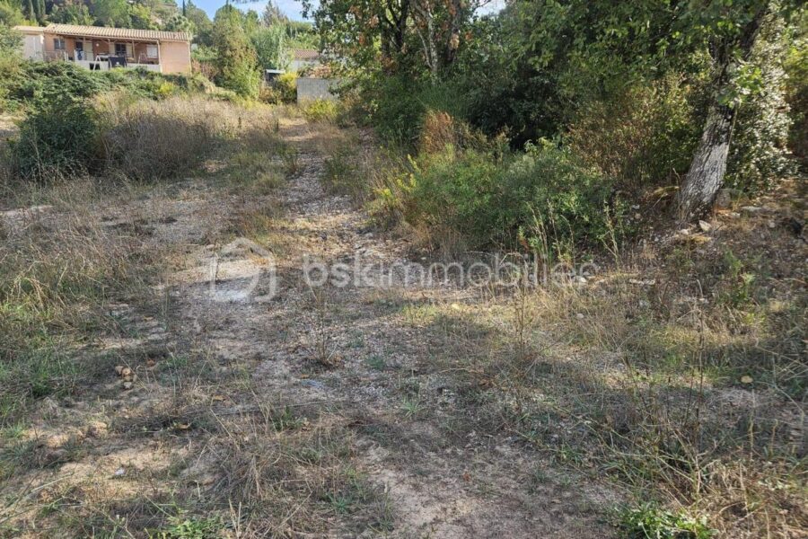 Terrain à vendre à Vidauban — photo 3