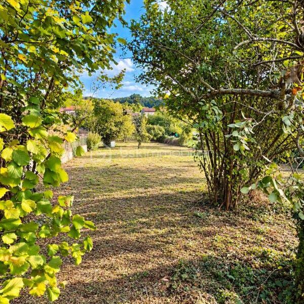 Maison à vendre à Courniou — Vue nature — photo 3