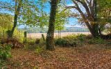 Maison à vendre à Le Tremblay-sur-Mauldre — Vue nature — photo 1