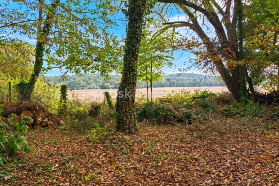 Maison à vendre à Le Tremblay-sur-Mauldre — Vue nature — photo 1
