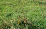 Terrain à vendre à Valpuiseaux — Vue dégagée — photo 3