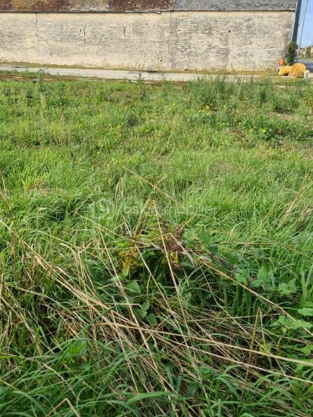 Terrain à vendre à Valpuiseaux — Vue dégagée — photo 3