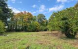 Terrain à vendre à Bois-le-Roi — Vue nature — photo 4