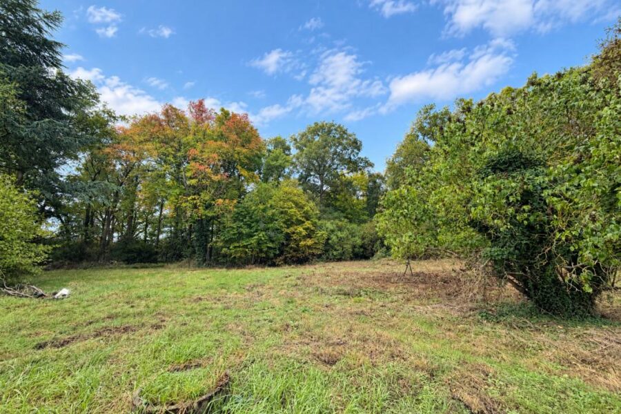 Terrain à vendre à Bois-le-Roi — Vue nature — photo 4