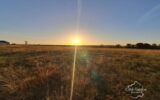 Maison à vendre à La Neuville-lès-Dorengt — Vue nature — photo 1
