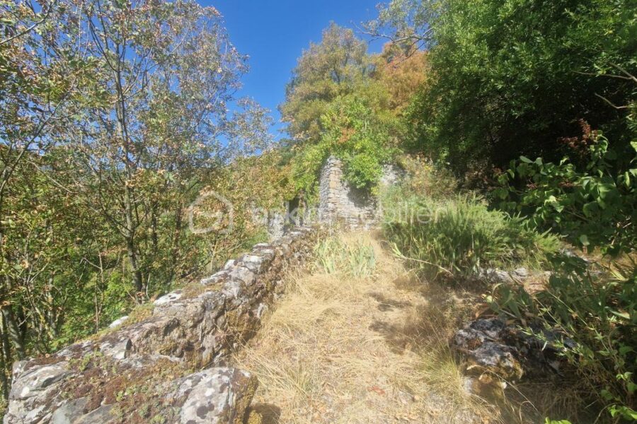 Maison à vendre à Brusque — Vue nature — photo 3