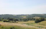 Terrain à vendre à Auch — Vue nature — photo 1