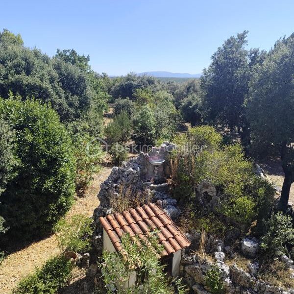 Maison à vendre à La Garde-Adhémar — Vue nature — photo 4