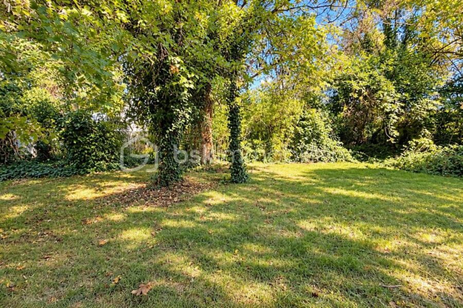 Terrain à vendre à Chalifert — Vue dégagée — photo 1