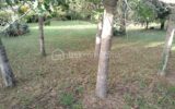 Terrain à vendre à Carmaux — Vue dégagée — photo 3