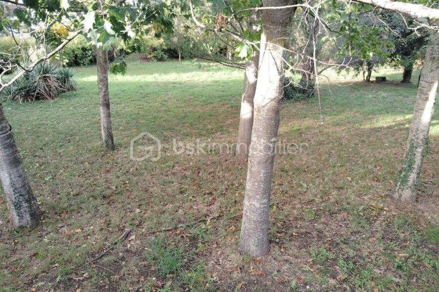 Terrain à vendre à Carmaux — Vue dégagée — photo 3
