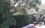 Maison à vendre à Labruguière — Vue nature — photo 3