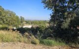 Terrain à vendre à Roquebrune-sur-Argens — Vue nature — photo 3