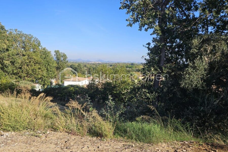 Terrain à vendre à Roquebrune-sur-Argens — Vue nature — photo 3
