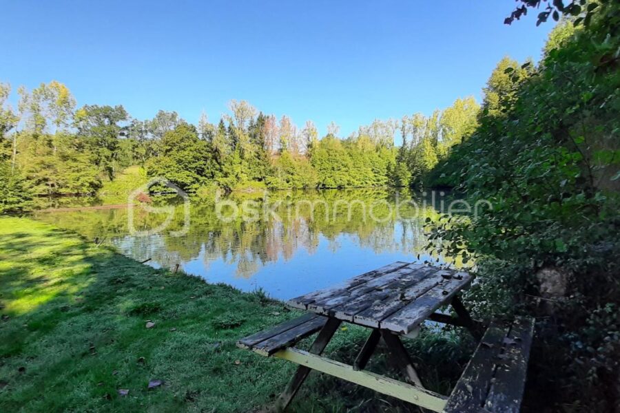 Terrain à vendre à Chaillac-sur-Vienne — Vue lac — photo 1
