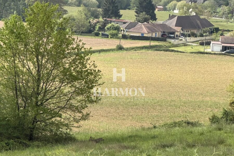 Maison à vendre à Argagnon — Vue montagne — photo 5
