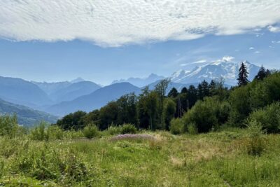 Terrain à vendre à Combloux