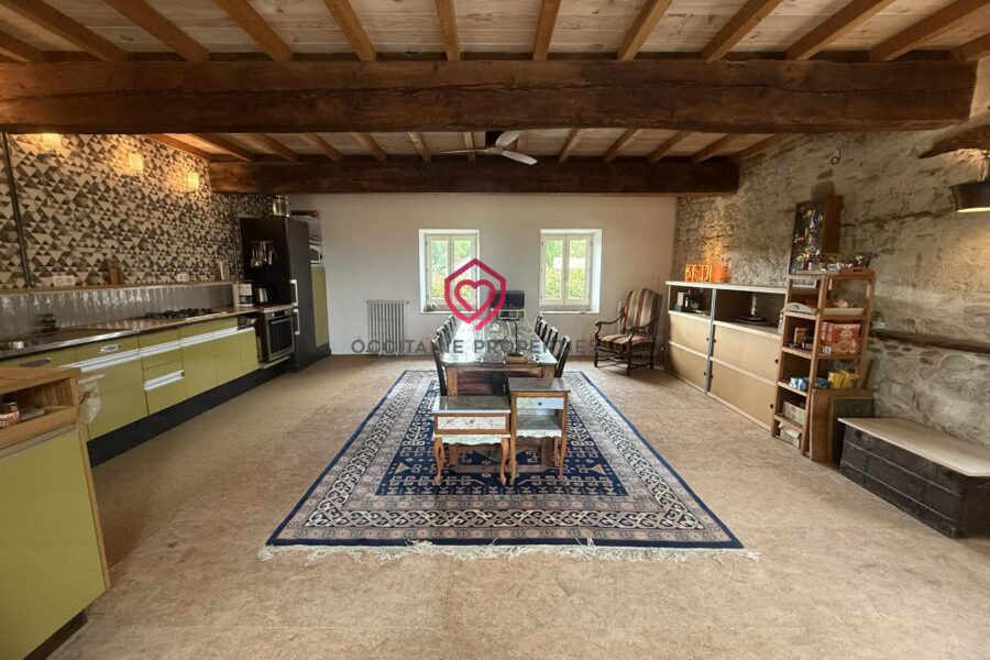 Maison à vendre à Arzens — Vue montagne — photo 40