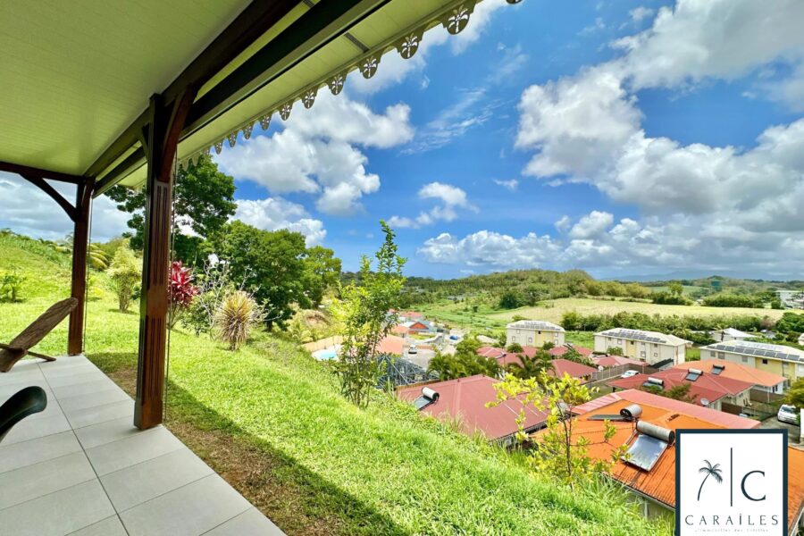 Maison à vendre à Ducos — Vue montagne — photo 19