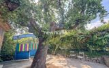 Maison à vendre à Châteauneuf-Grasse — Vue parc & jardin — photo 5