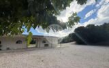 Maison à vendre à Cuges-les-Pins — Vue nature — photo 33