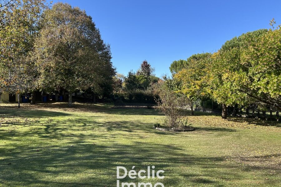 Maison à vendre à Carignan-de-Bordeaux — Vue nature — photo 14