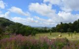 Maison à vendre à Larochemillay — Vue nature — photo 1