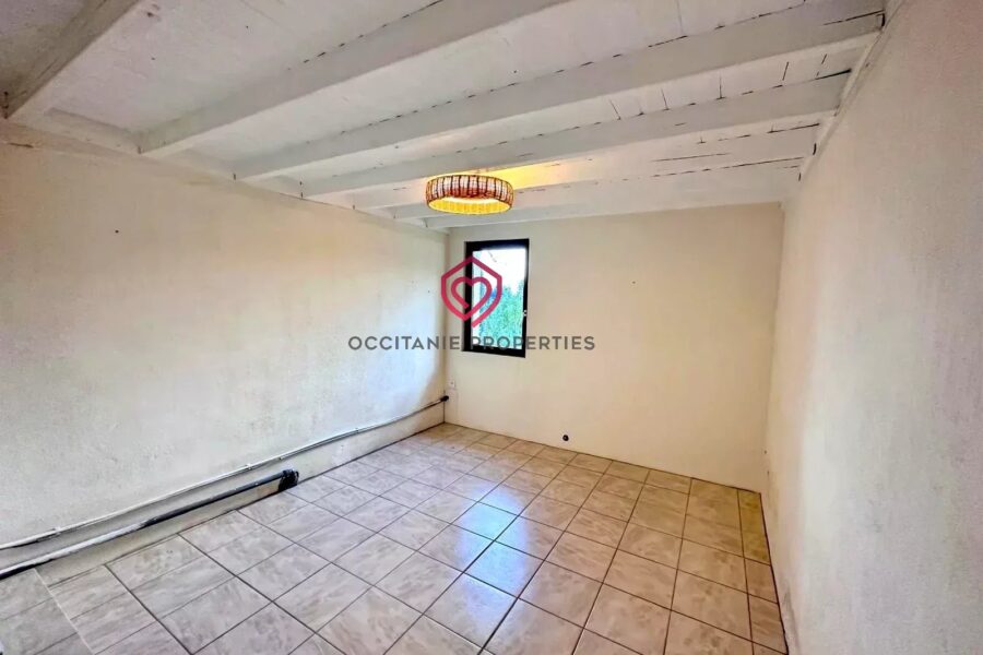 Maison à vendre à Riscle — Vue montagne — photo 12