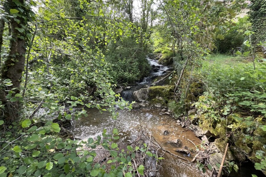 Maison à vendre à Chiddes — Vue nature — photo 9