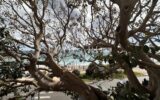 Appartement à vendre à Menton — Vue mer — photo 6