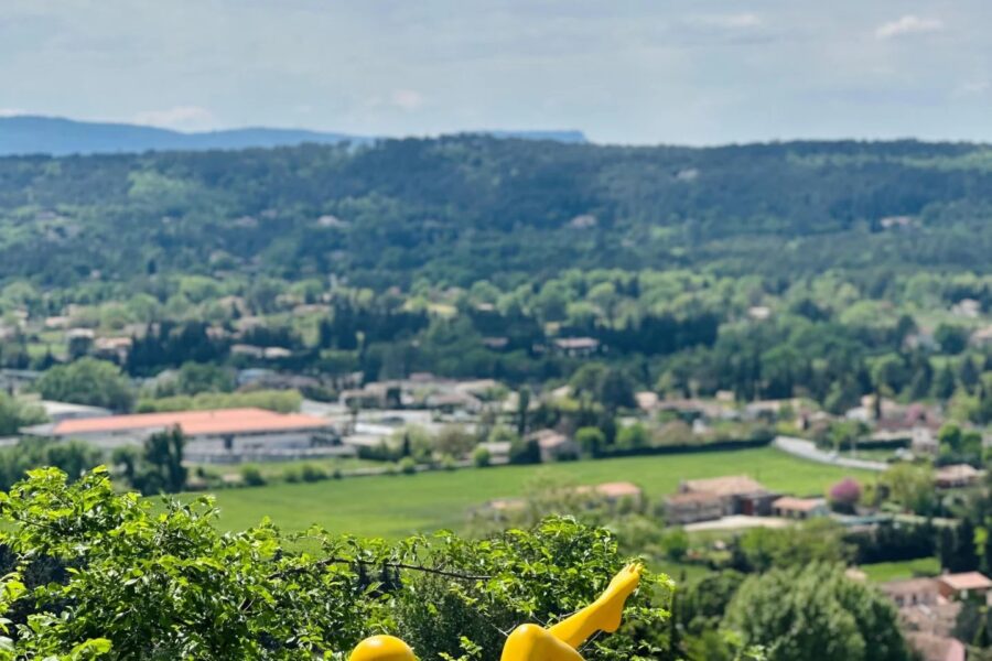 Maison à vendre à Fayence — Vue montagne — photo 8