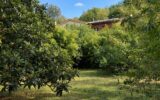 Maison à vendre à Les Plans — Vue nature — photo 17