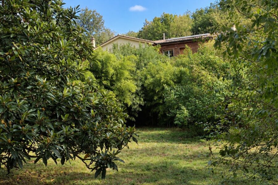 Maison à vendre à Les Plans — Vue nature — photo 17