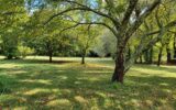 Maison à vendre à Les Plans — Vue nature — photo 7