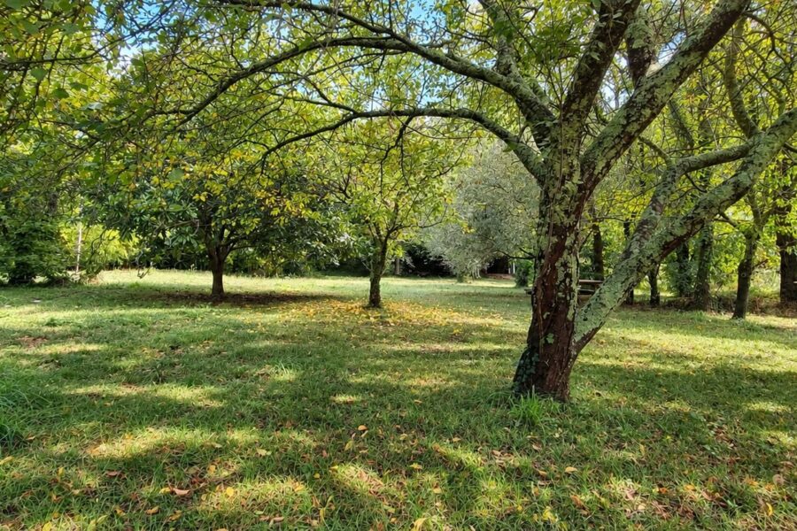 Maison à vendre à Les Plans — Vue nature — photo 7