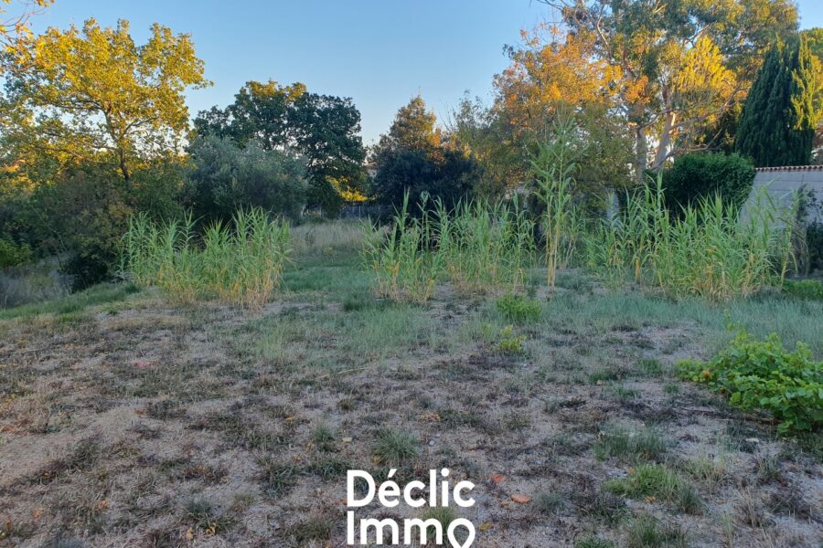 Terrain à vendre à Neffiès — photo 2