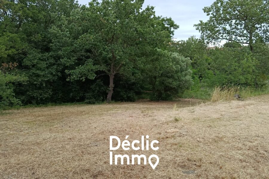 Terrain à vendre à Neffiès — photo 3