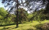 Maison à vendre à Jaujac — Vue nature — photo 6