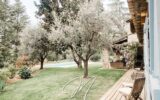Maison à vendre à Roquefort-les-Pins — Vue nature — photo 20