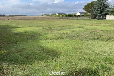 Terrain à vendre à Lémeré